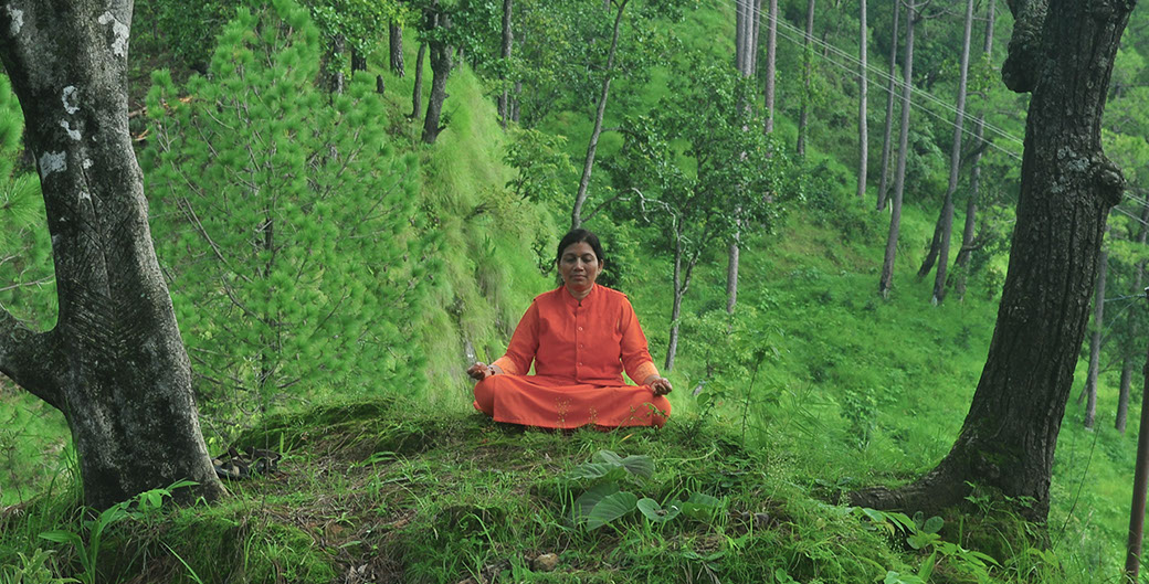 Meditation in the Himalayas